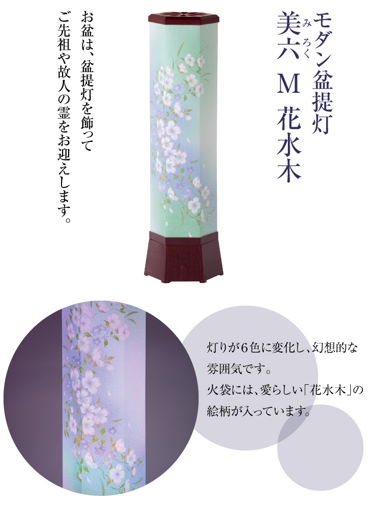 美六(みろく) M 花水木 Y0441