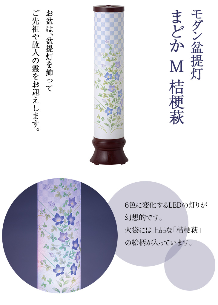 まどか M 桔梗萩 Y0443