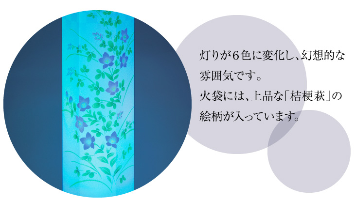 美六(みろく) L 桔梗萩 Y0454