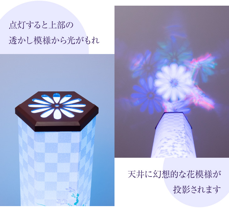 美六(みろく) L 桔梗萩 Y0454