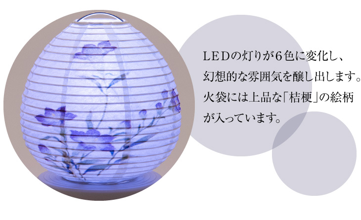 Lien(リアン) 桔梗 コードレス
