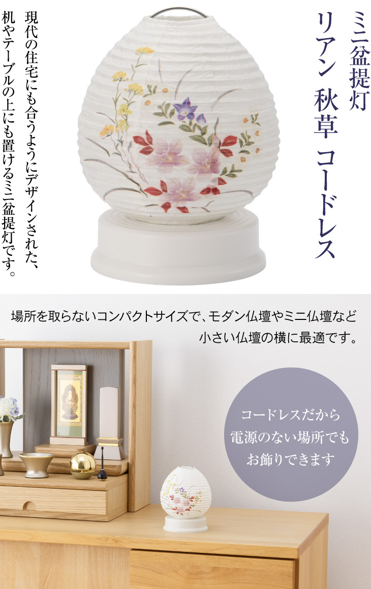 Lien(リアン) 秋草 コードレス