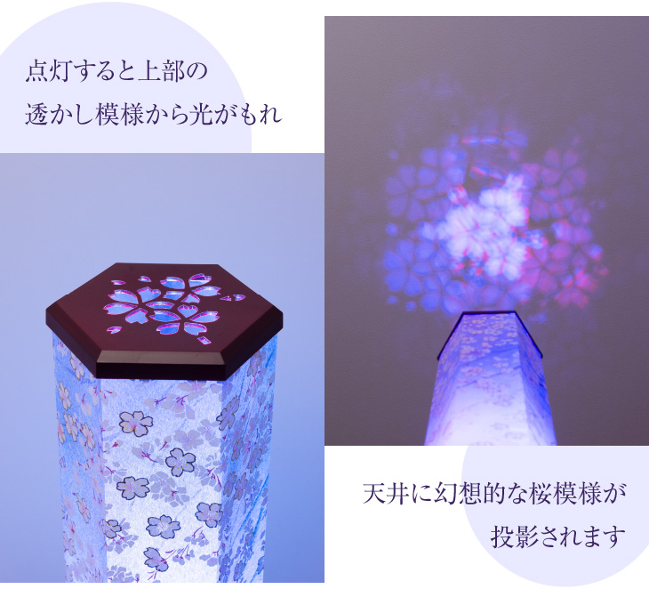 美六(みろく) L 桜吹雪 Y1485