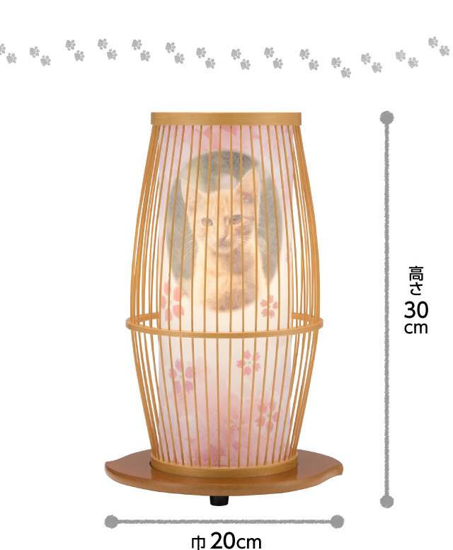 高さ30cm×巾20cm。