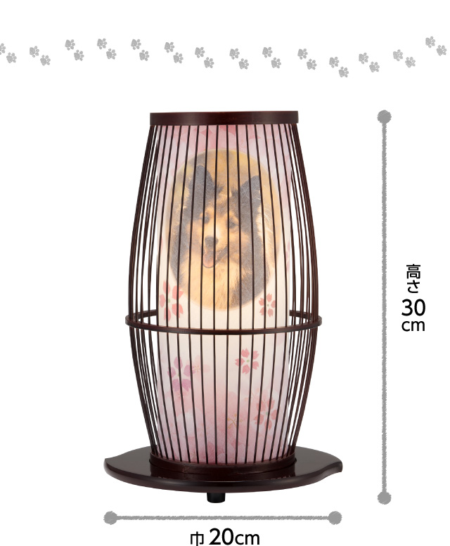 高さ30cm×巾20cm。