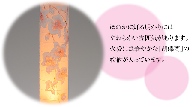峰(みね) 桃色 胡蝶蘭 コードレス(一個)