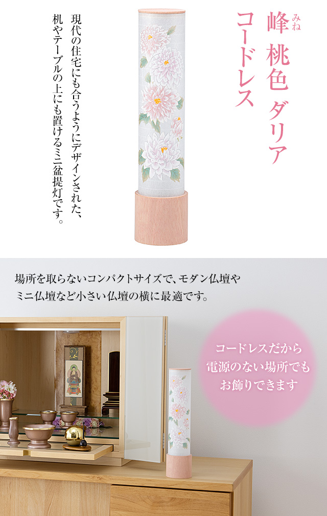 峰(みね) 桃色 ダリア コードレス