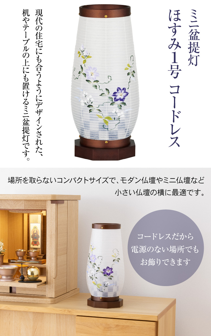 ほすみ1号 コードレス 2171