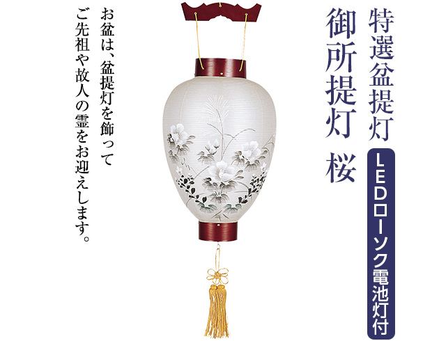 特選盆提灯 御所提灯 桜 LEDローソク電池灯付き 3113-L
