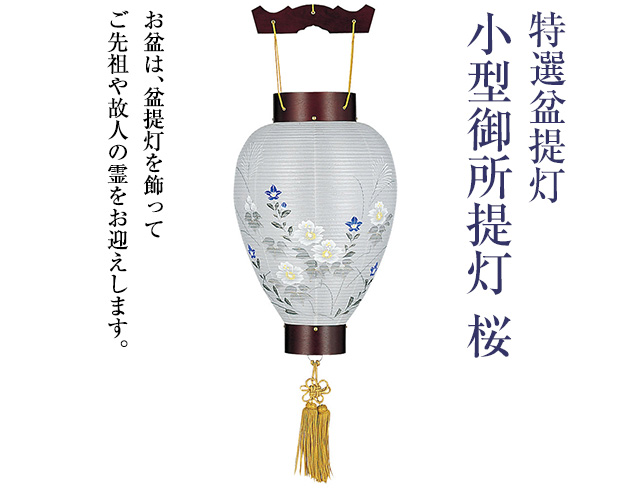 特選盆提灯 小型御所提灯桜 3311