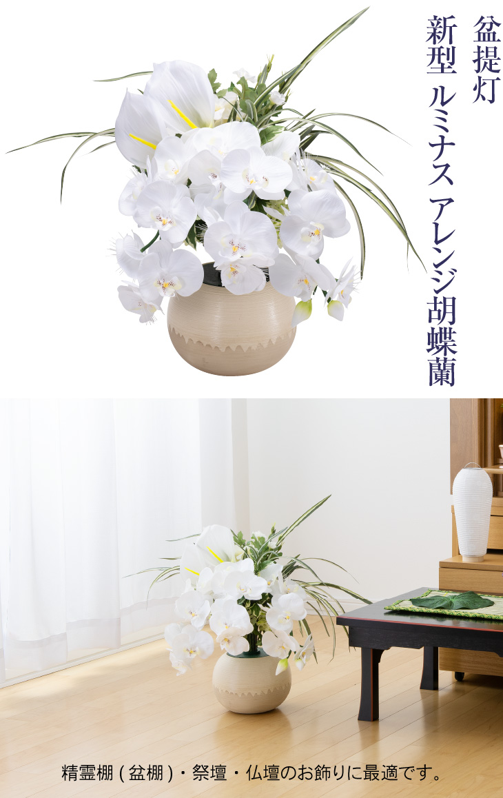 新型 ルミナス アレンジ胡蝶蘭 6902-L