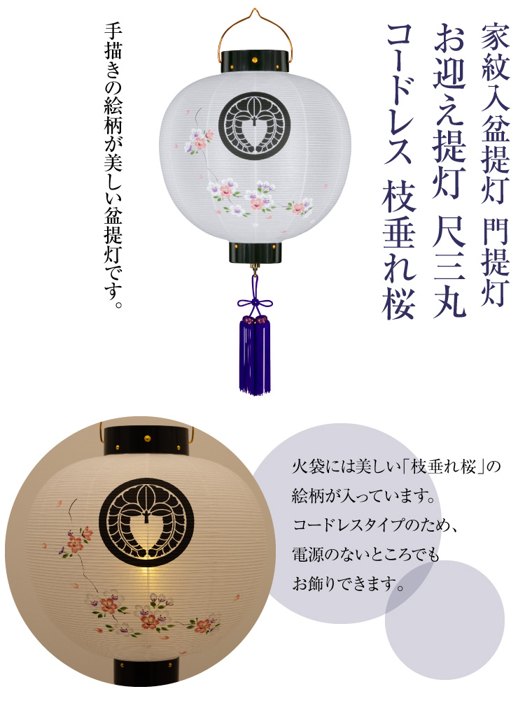 家紋入盆提灯 門提灯 尺三丸 コードレス 枝垂れ桜 9532-T