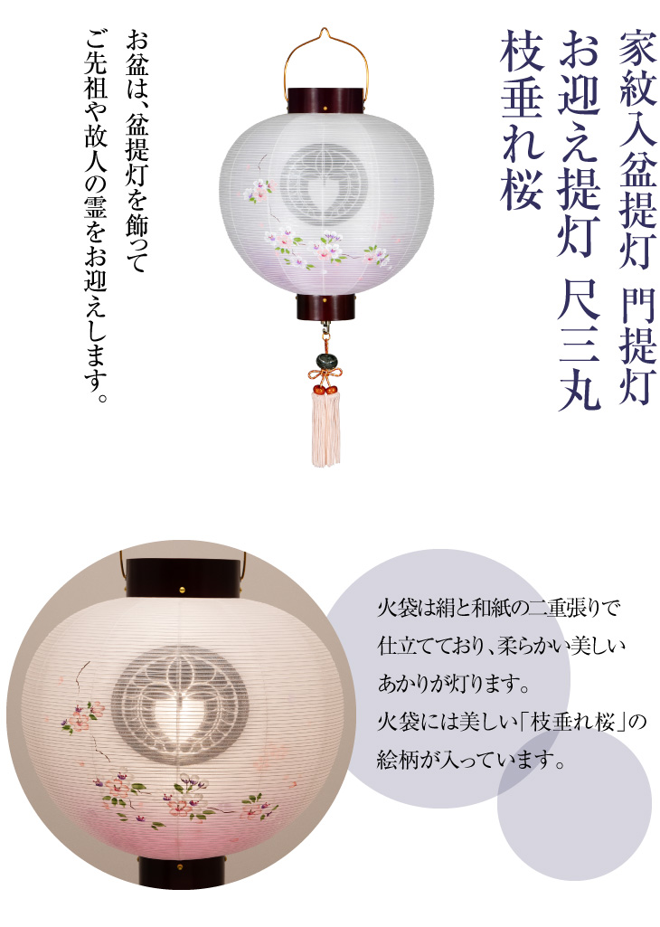 家紋入盆提灯 門提灯 尺三丸 枝垂れ桜 9853-3