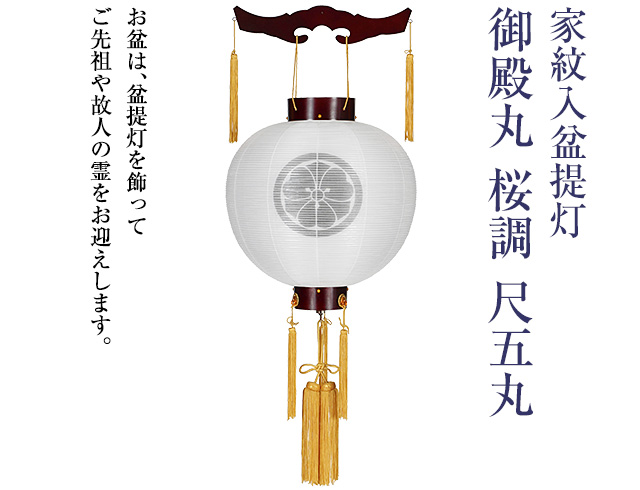 家紋入盆提灯 御殿丸 桜調 尺五丸 9946-4