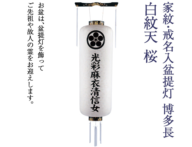 家紋・戒名入 盆提灯 博多長 白紋天 桜 9992-0