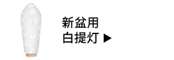 新盆用白提灯