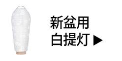新盆用白提灯