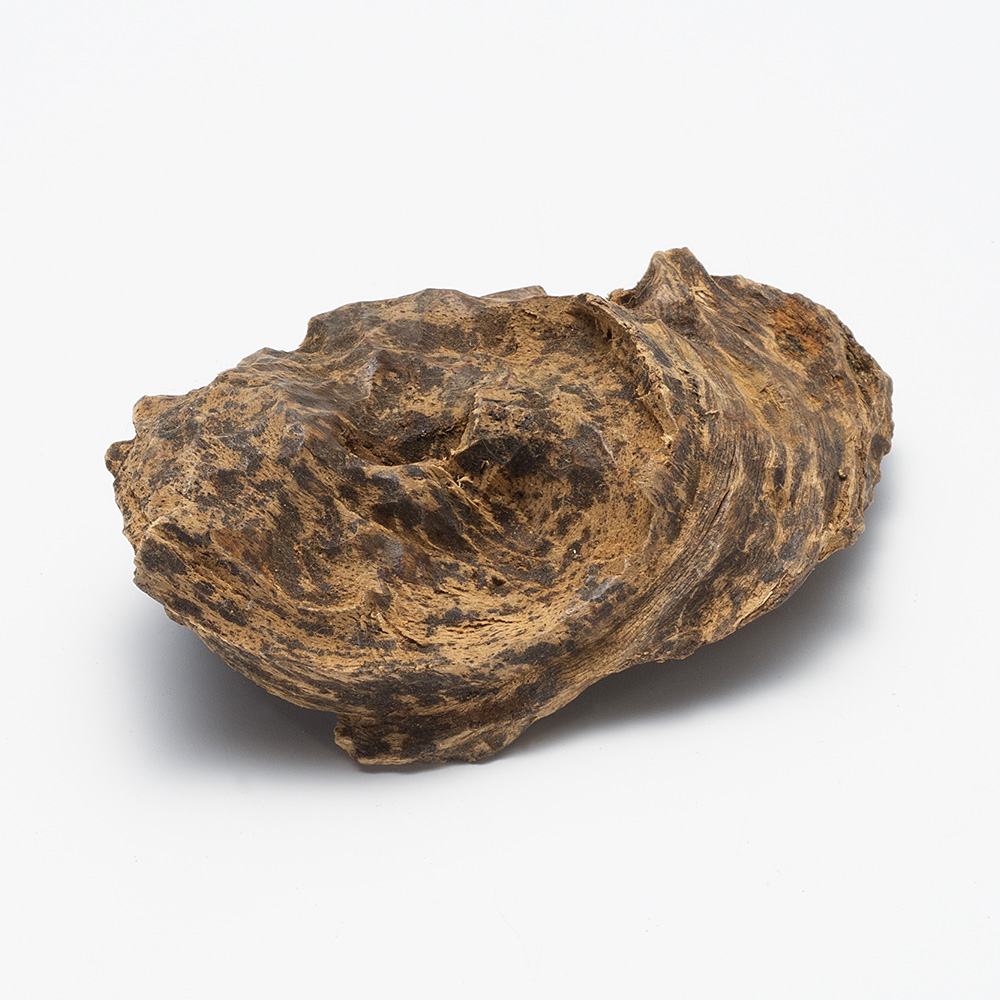 プレミアム沈香(じんこう) 原木姿物 沈水 極上タニ沈香 23g