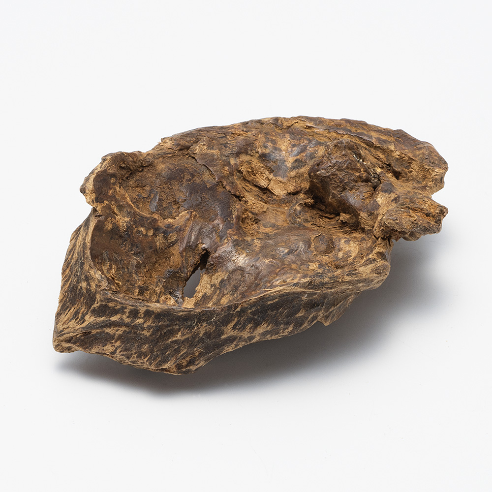 プレミアム沈香(じんこう) 原木姿物 沈水 極上タニ沈香 23g