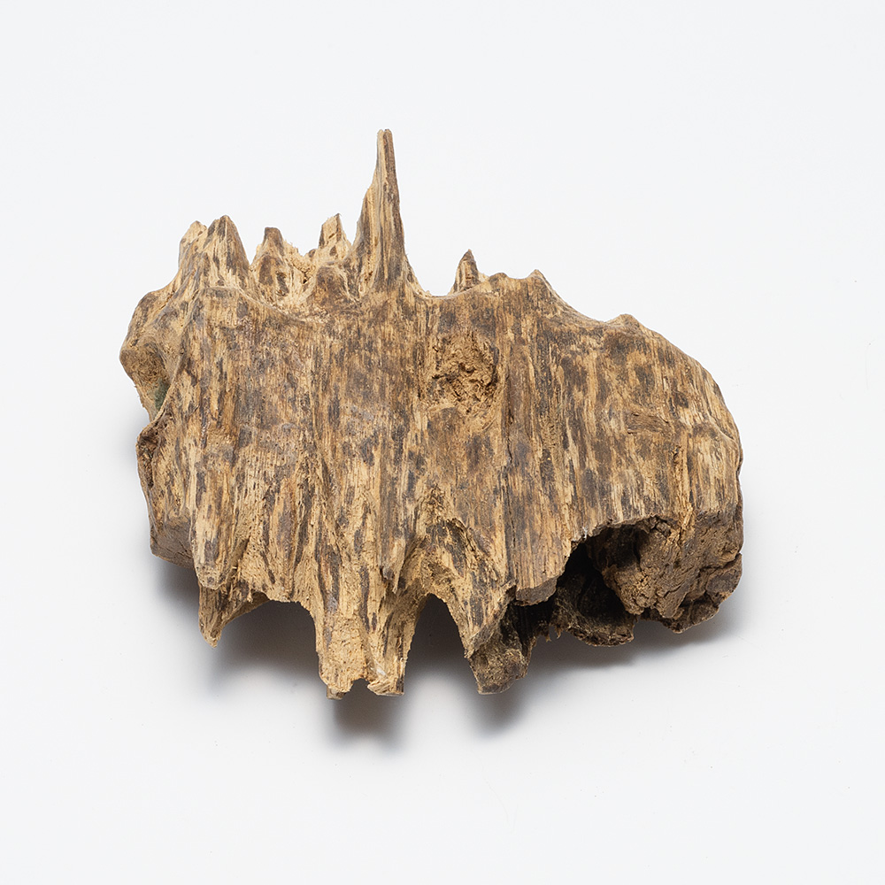 プレミアム沈香(じんこう) 原木姿物 沈水 「沈梗」 極上シャム沈香 45g