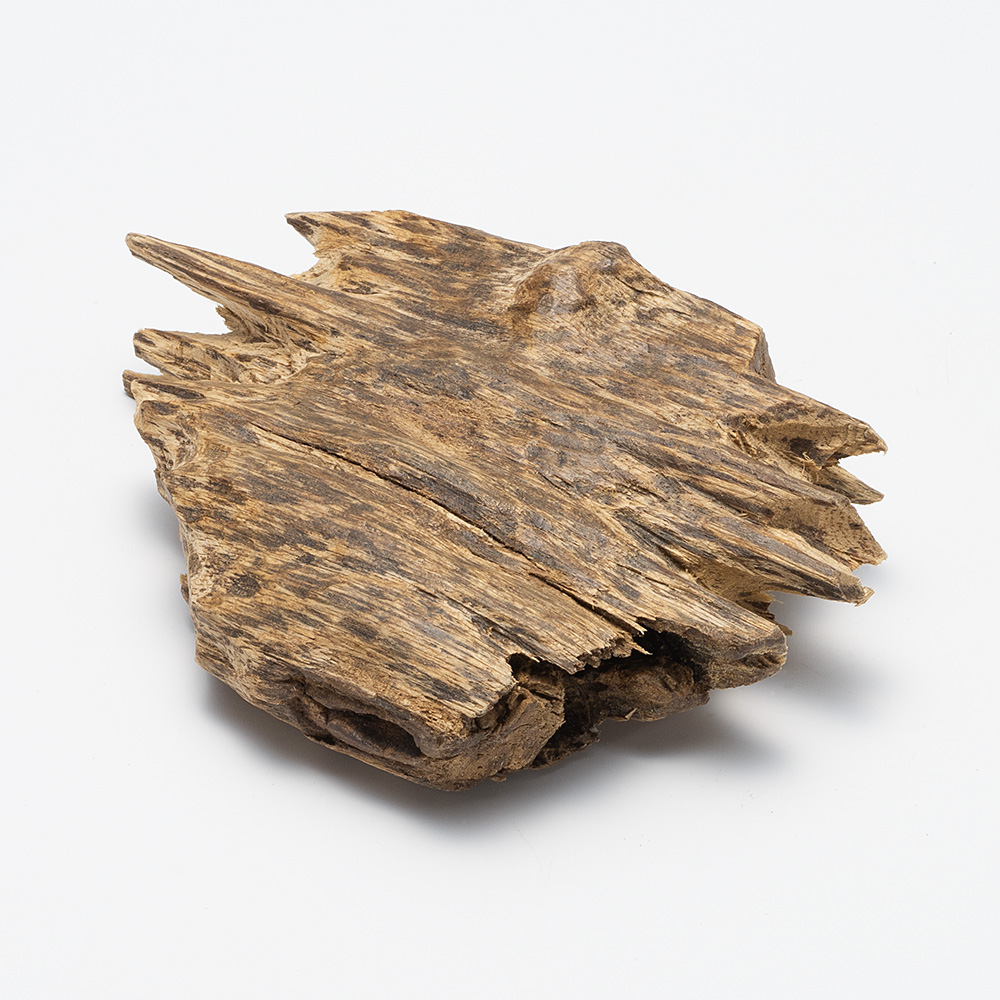 プレミアム沈香(じんこう) 原木姿物 沈水 「沈梗」 極上シャム沈香 45g