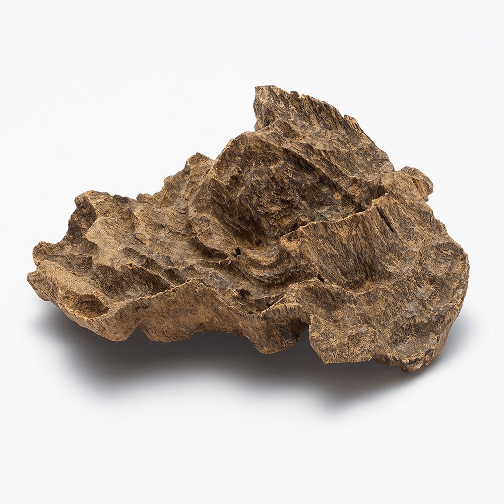 プレミアム沈香(じんこう) 原木姿物 馬蹄 極上シャム沈香 85g