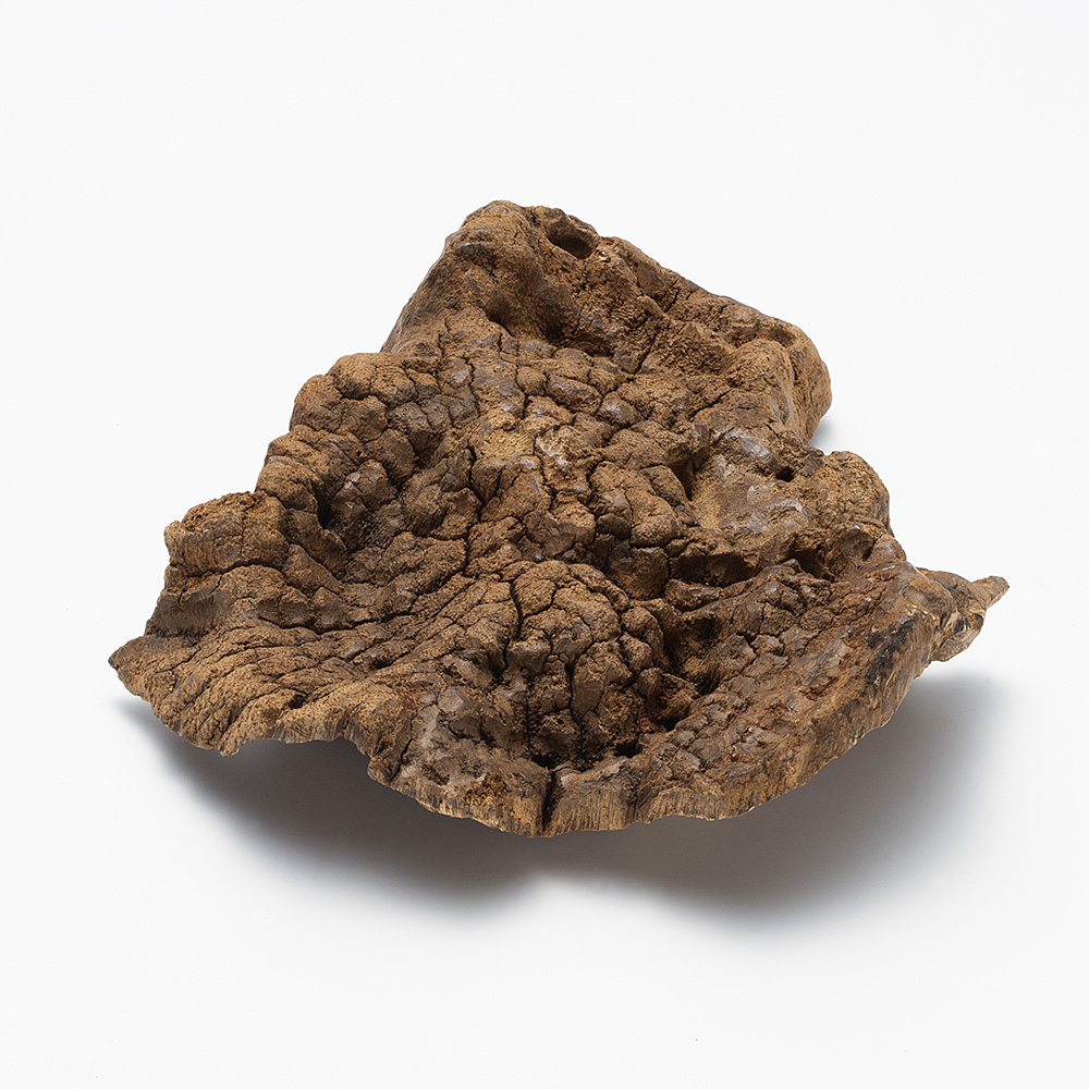 プレミアム沈香(じんこう) 原木姿物 馬蹄 極上シャム沈香 85g