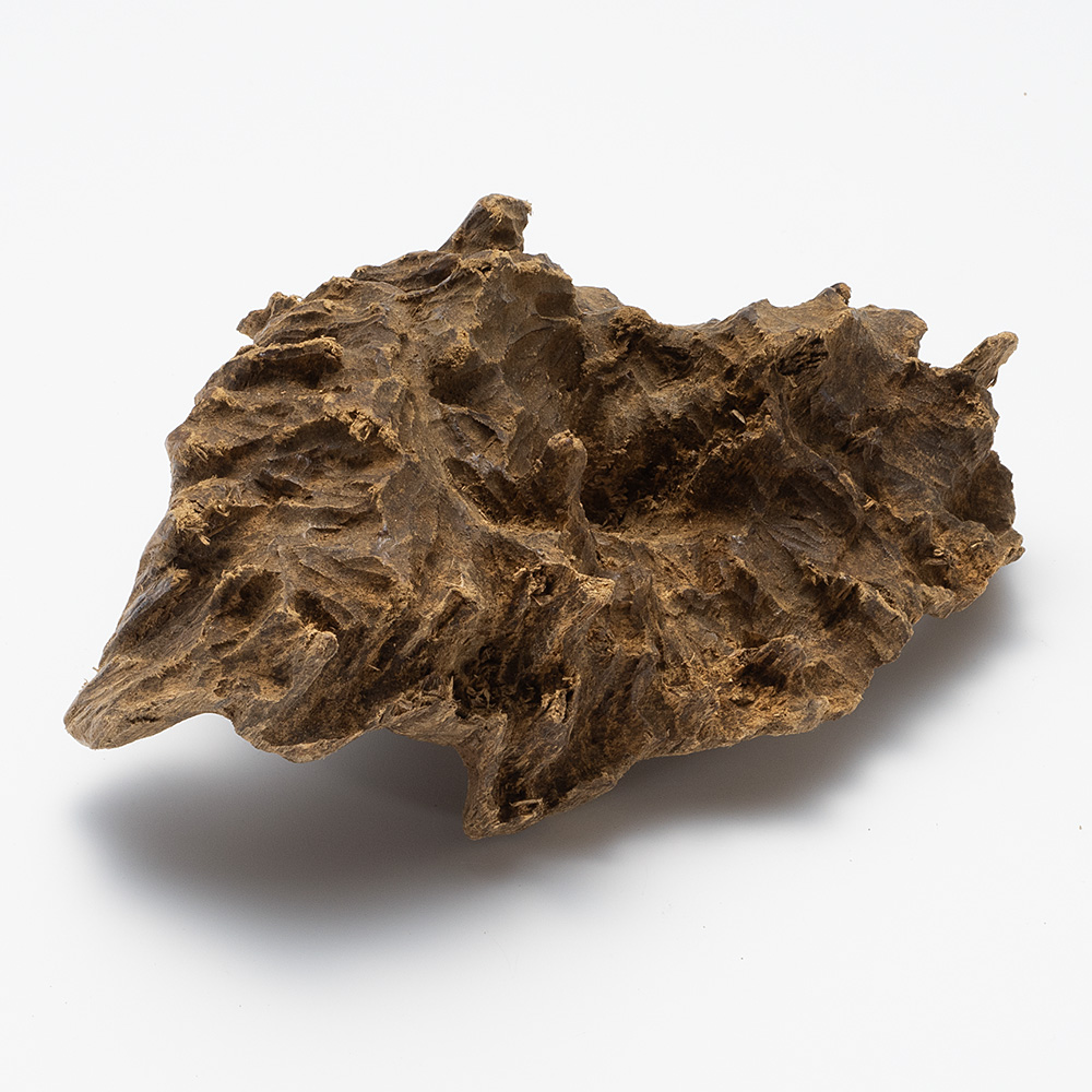 プレミアム沈香(じんこう) 原木姿物 極上タニ沈香 132g