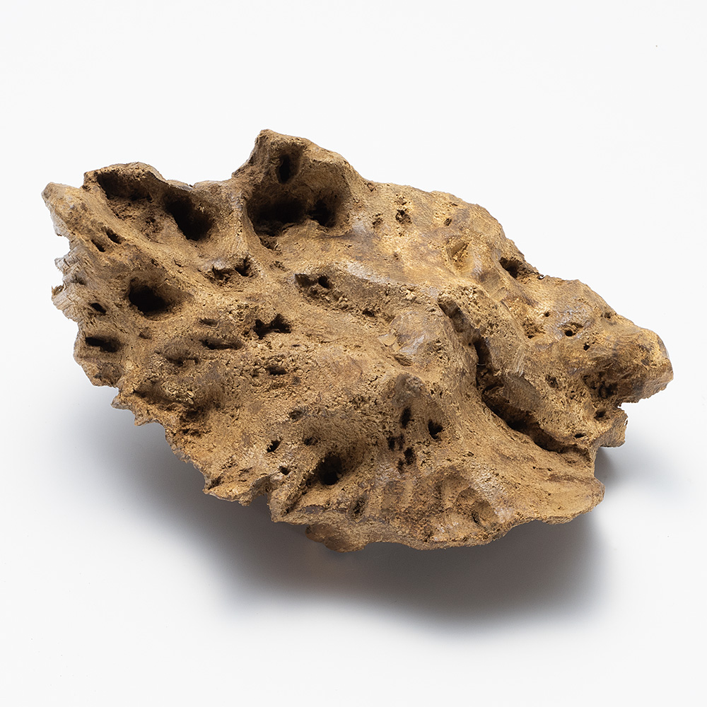 プレミアム沈香(じんこう) 原木姿物 極上タニ沈香 132g