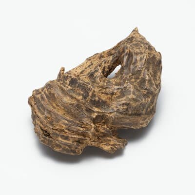 プレミアム沈香(じんこう) 原木姿物 沈水 極上タニ沈香 23ｇ