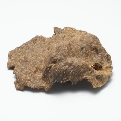 プレミアム沈香(じんこう) 原木姿物 馬蹄 極上シャム沈香 92ｇ