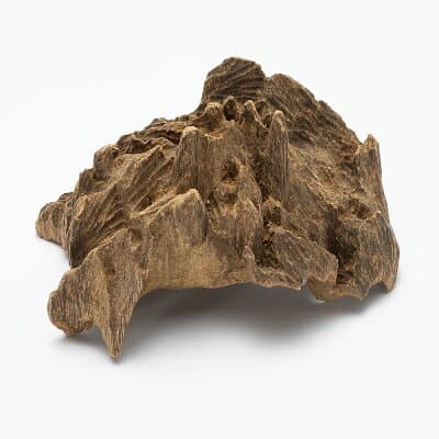 プレミアム沈香(じんこう) 原木姿物 極上タニ沈香 121ｇ